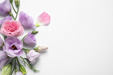 Photo of Beautiful Eustoma flowers on white background, top view. Space for text