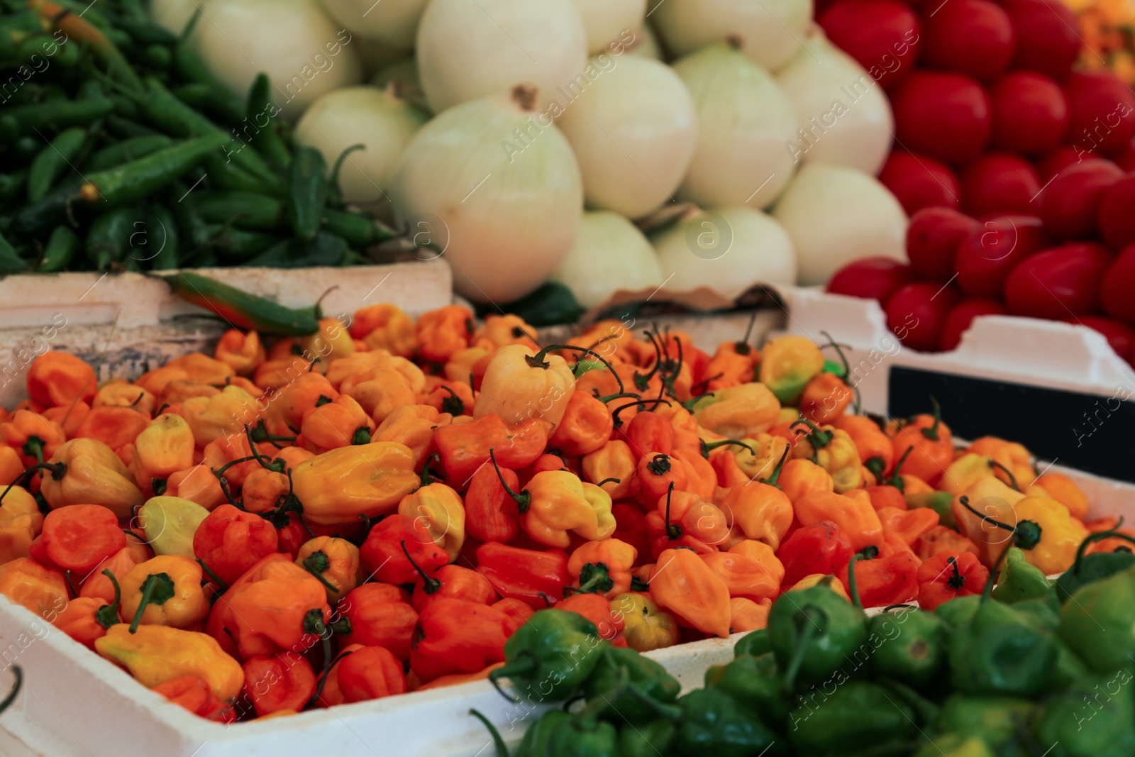 Photo of Heap of fresh Cascabel chili peppers on counter at market, closeup