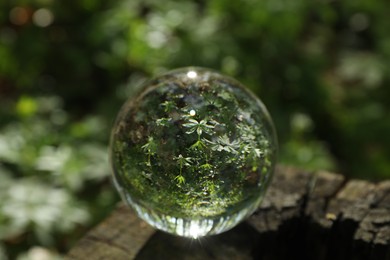 Beautiful green trees outdoors, overturned reflection. Crystal ball on stump in forest
