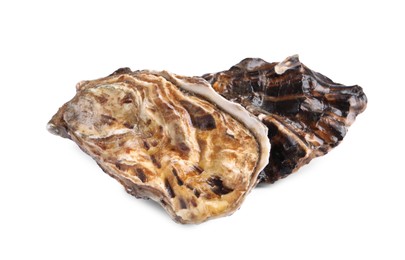 Fresh raw closed oysters on white background