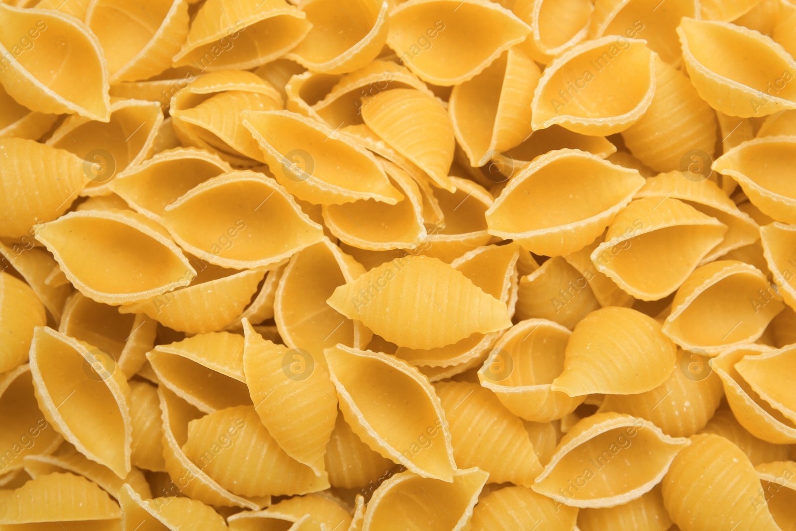 Photo of Raw conchiglie pasta as background, top view