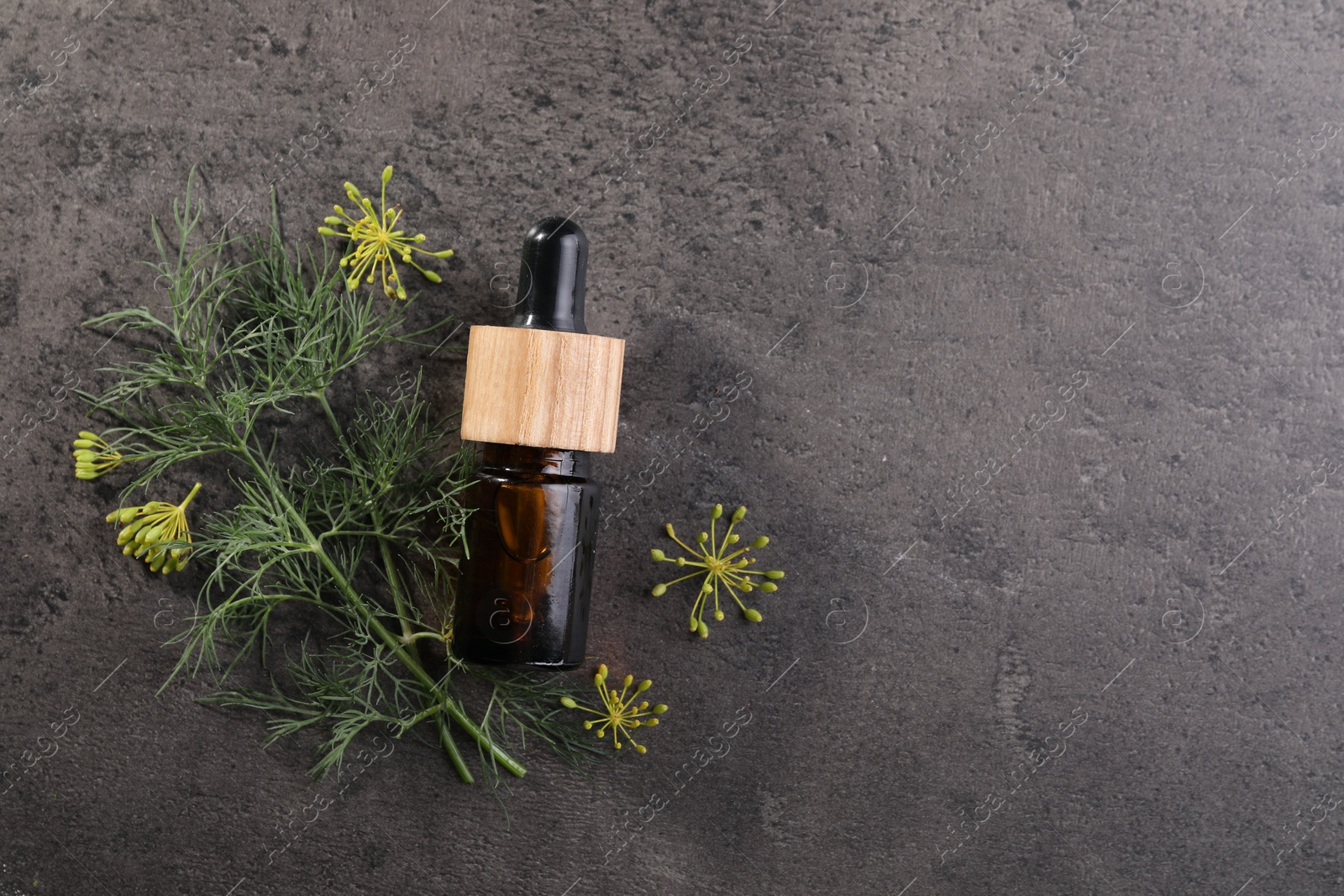 Photo of Bottle of essential oil and fresh dill on grey table, top view. Space for text