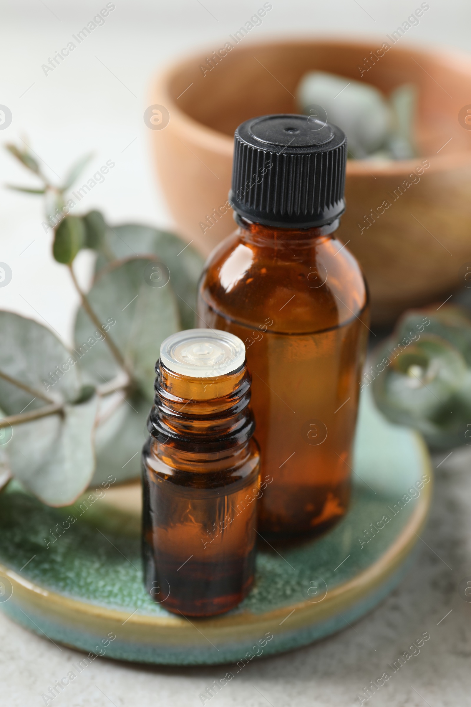 Photo of Bottles of eucalyptus essential oil and plant branches on light grey table