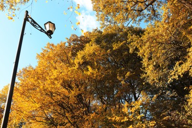 Photo of Beautiful trees with bright autumn leaves and street lamp under blue sky outdoors, low angle view