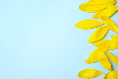 Fresh yellow sunflower petals on light blue background, flat lay. Space for text