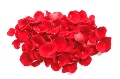 Photo of Pile of red rose petals on white background, top view