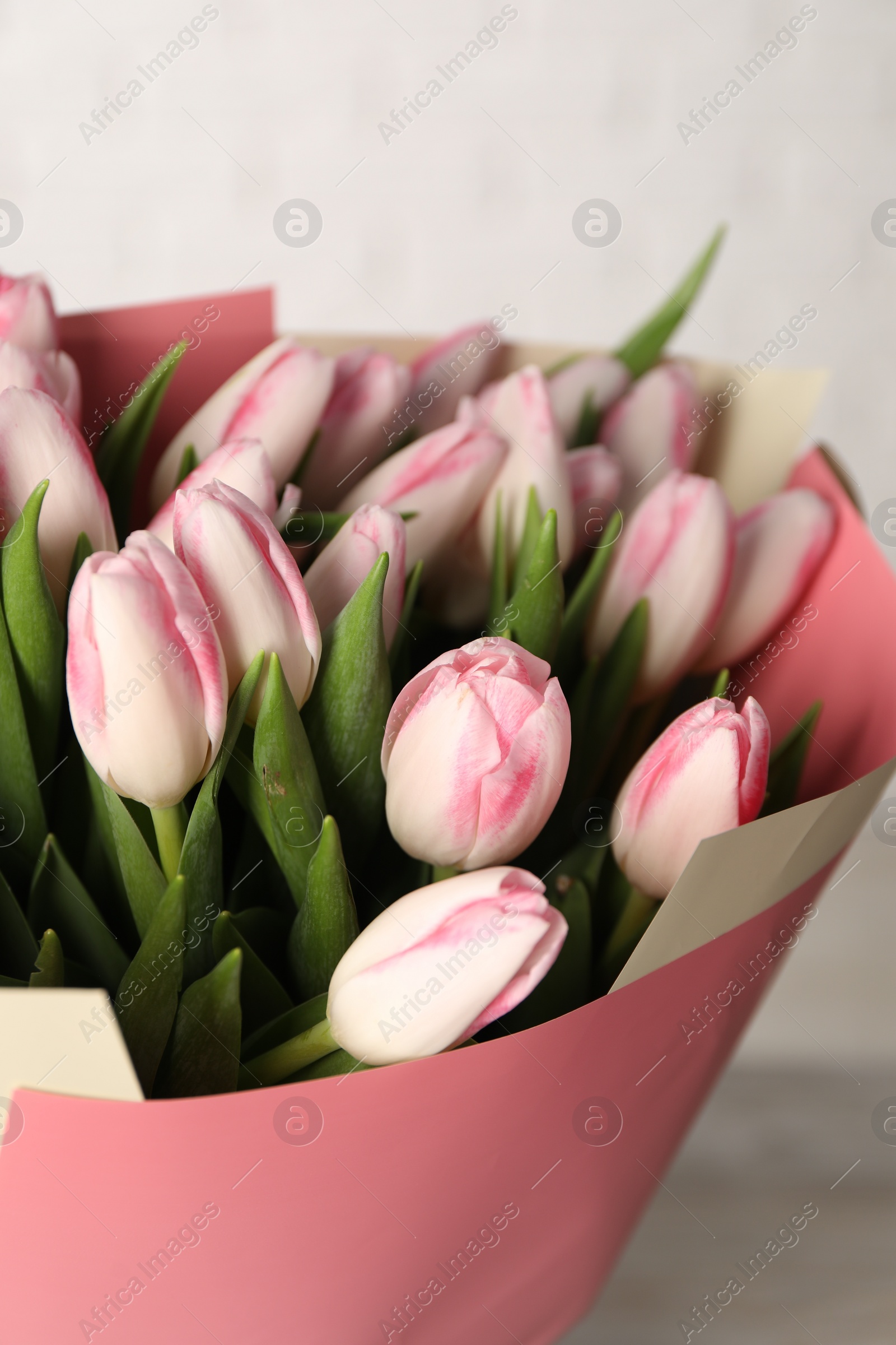 Photo of Beautiful bouquet of fresh pink tulips on light background, closeup