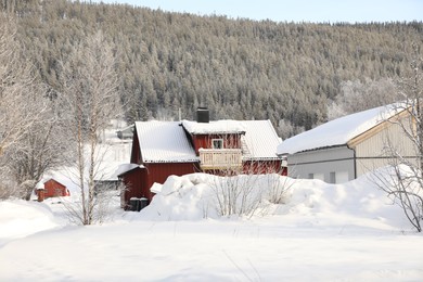 Photo of Picturesque view of cottage village near forest on winter day