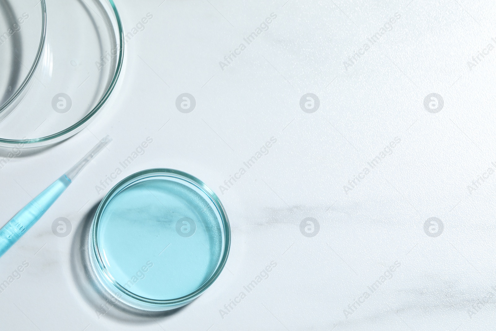 Photo of Pipette and petri dishes with liquid on white marble table, flat lay. Space for text