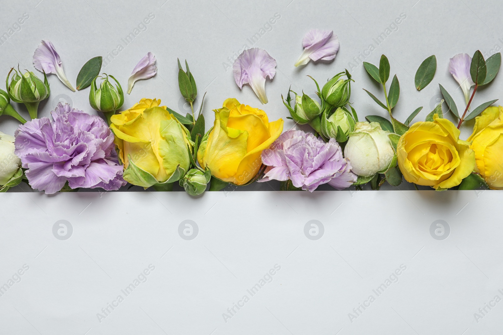 Photo of Flat lay composition with beautiful blooming flowers on grey background