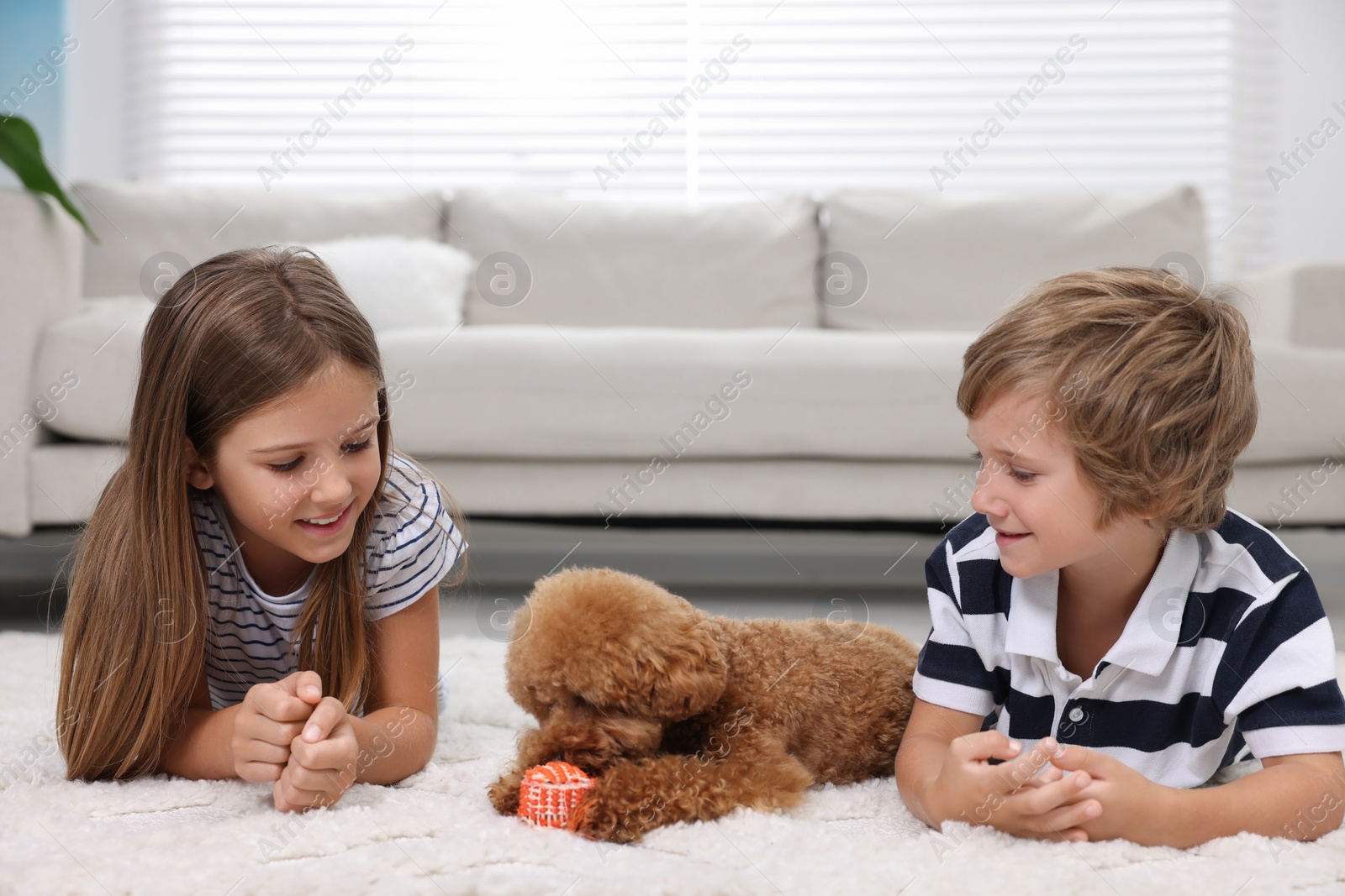 Photo of Little children and cute puppy on carpet at home. Lovely pet