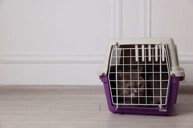 Photo of Travel with pet. Cute cat in carrier on floor near white wall indoors, space for text