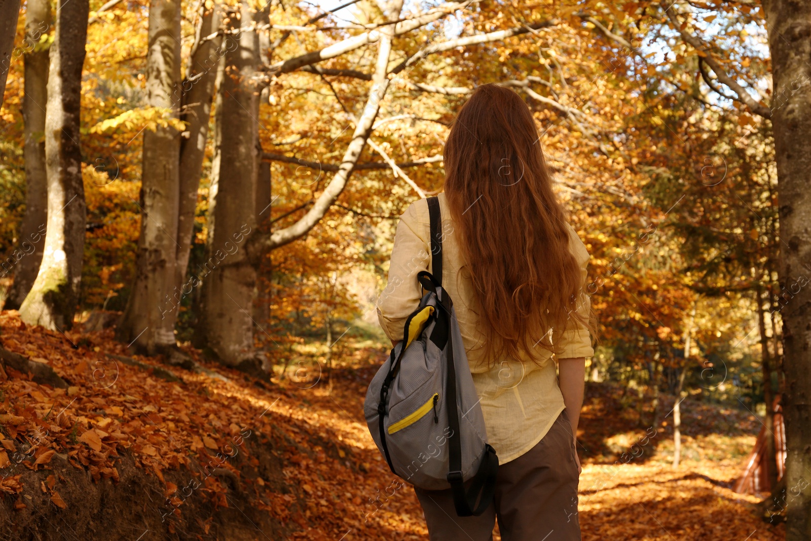 Photo of Woman with backpack walking in autumn forest. Space for text