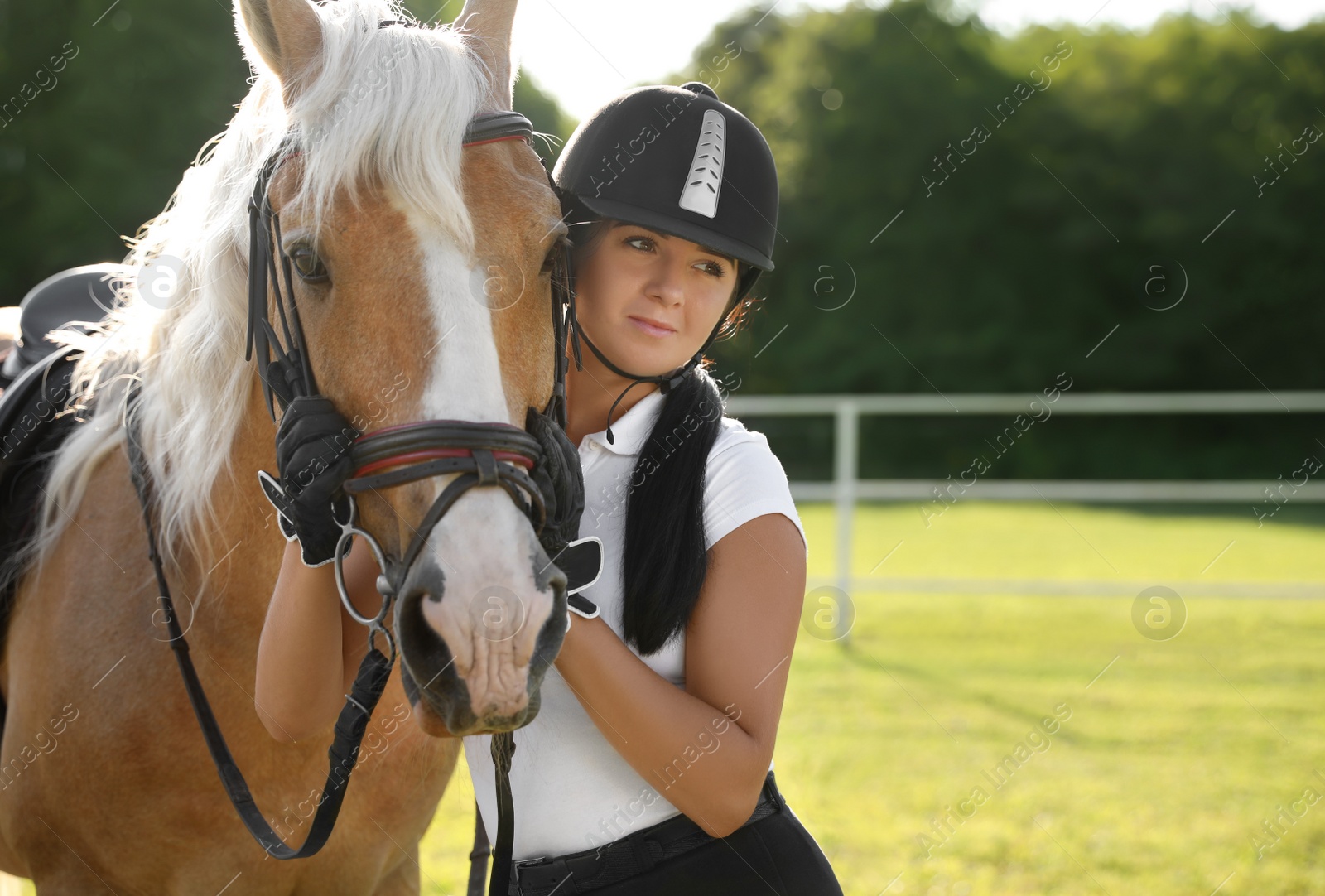 Photo of Young woman in horse riding suit and her beautiful pet outdoors on sunny day