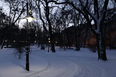Trees, street lamps, buildings and pathway covered with snow in evening park
