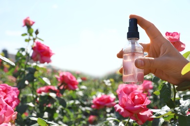Photo of Woman holding bottle of facial toner with essential oil near rose bush in garden, closeup. Space for text