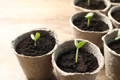 Photo of Young seedlings in peat pots on wooden table, closeup