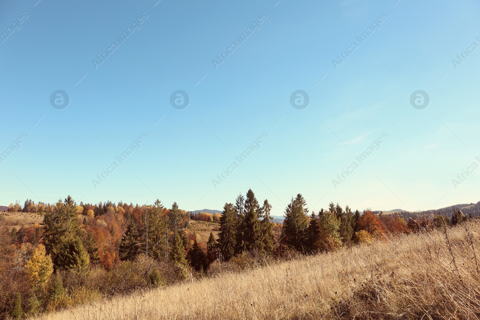 Photo of Picturesque landscape with blue sky over mountains