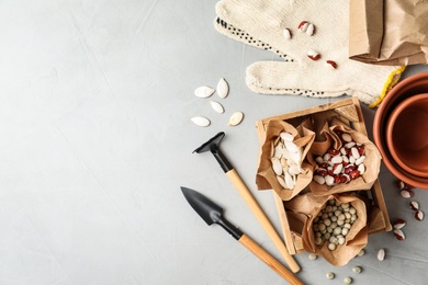 Photo of Different vegetable seeds and gardening tools on light grey table, flat lay. Space for text