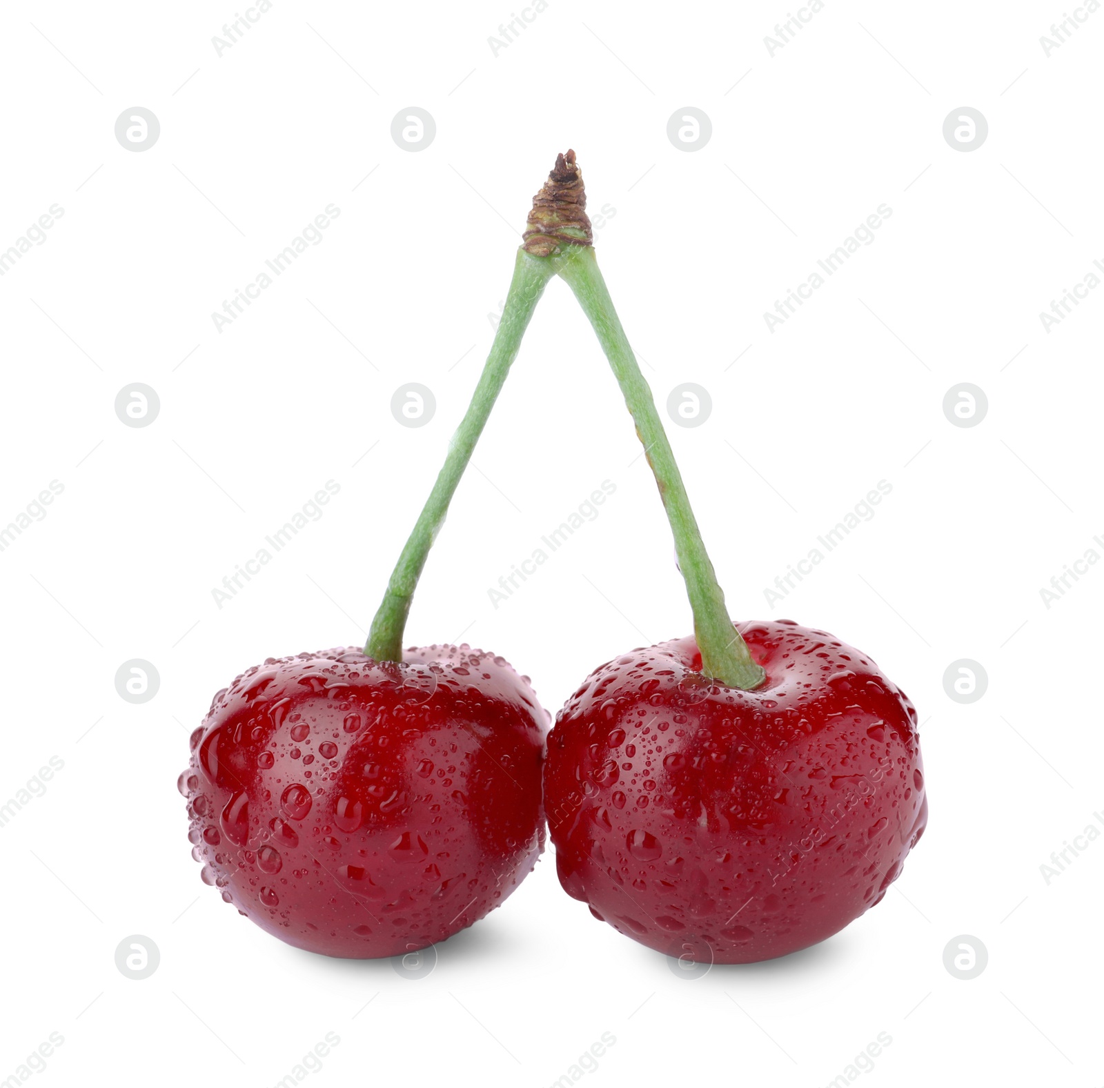 Photo of Sweet red juicy cherries with water drops isolated on white