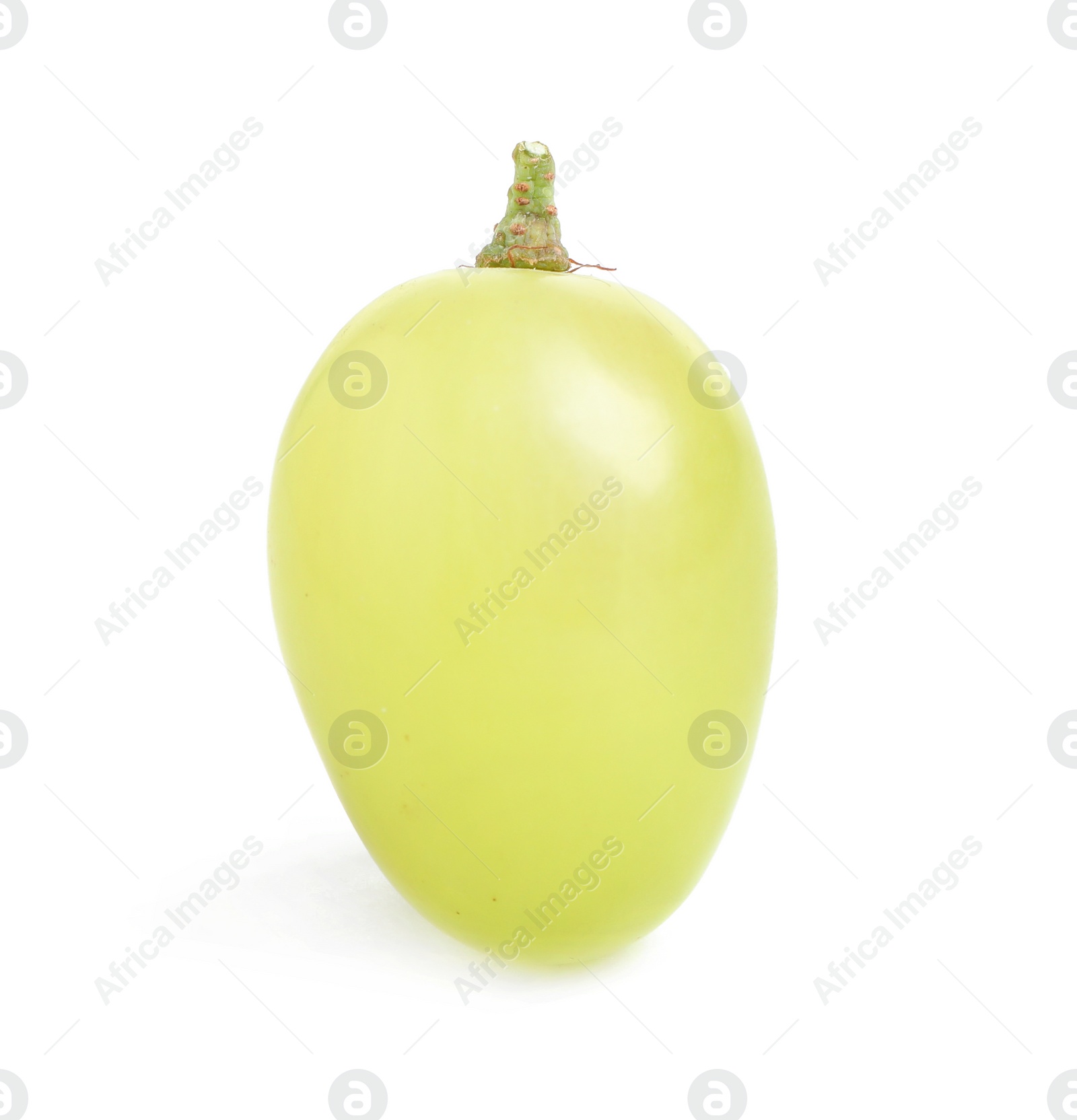 Photo of Delicious ripe green grape isolated on white
