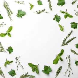 Different fresh herbs on white background, top view