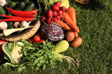 Different fresh ripe vegetables on green grass, flat lay