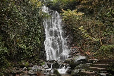 Photo of Picturesque view of beautiful mountain waterfall, green plants and rocks