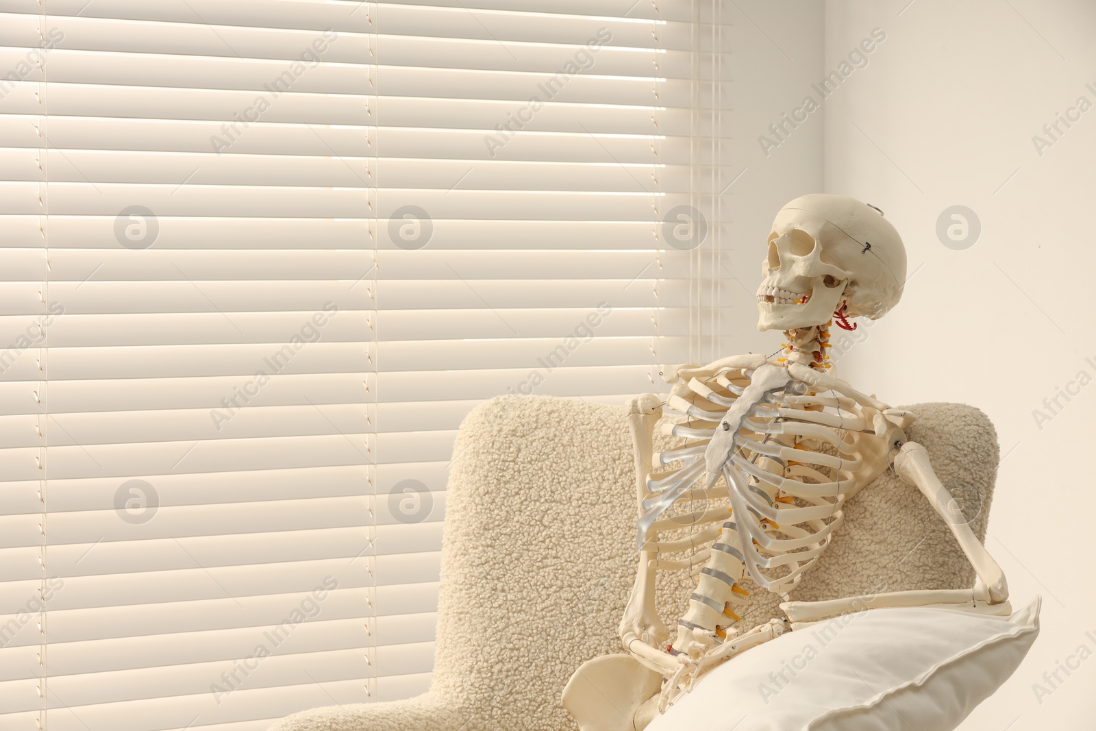 Photo of Waiting concept. Human skeleton sitting in armchair indoors, space for text