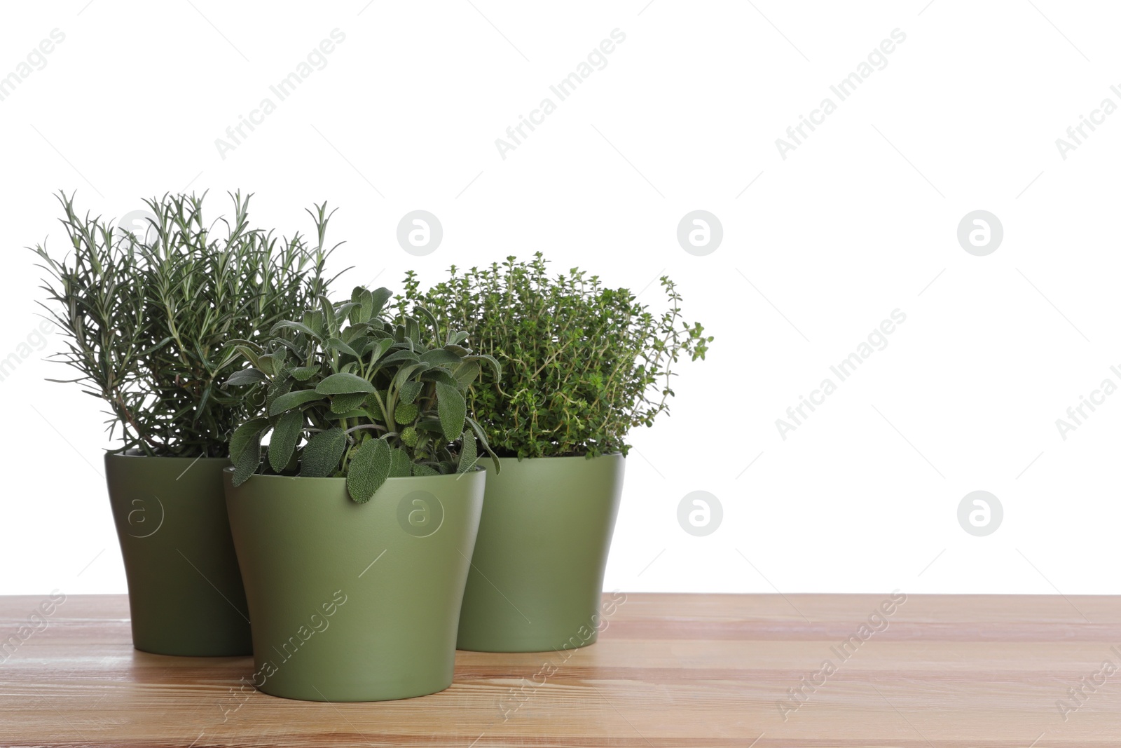 Photo of Pots with thyme, sage and rosemary on wooden table against white background