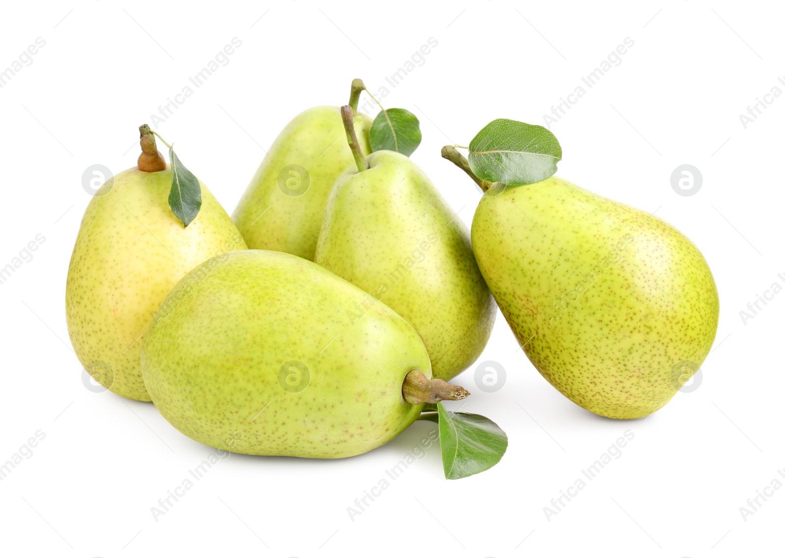 Photo of Many ripe pears with leaves on white background