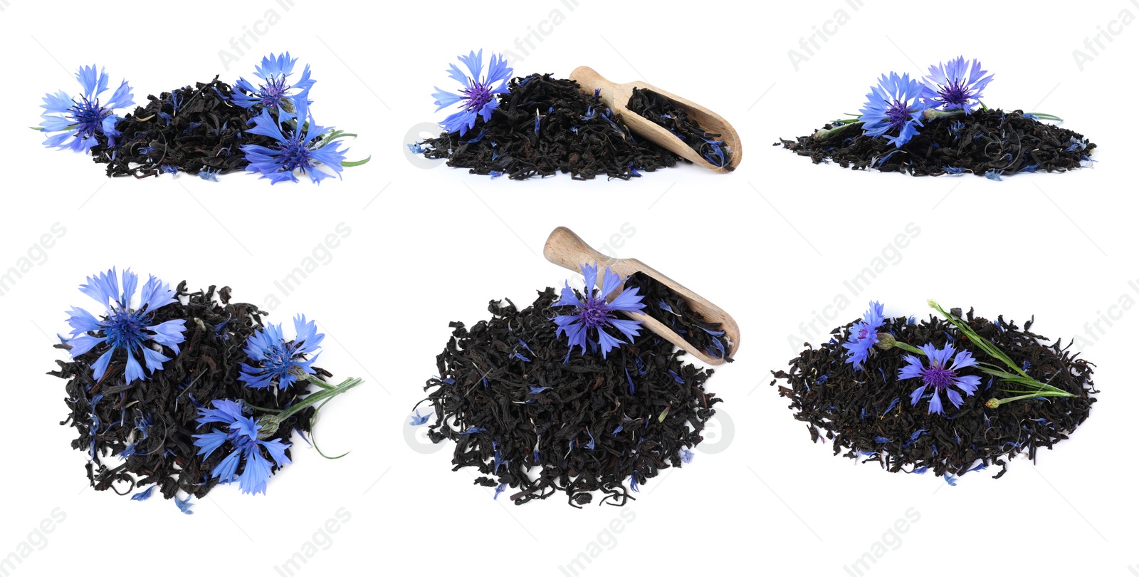 Image of Set with dried cornflower tea and fresh flowers on white background. Banner design