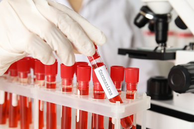 Scientist taking test tube with blood sample and label CORONA VIRUS from rack in laboratory, closeup