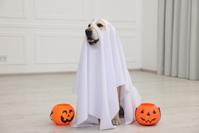 Cute Labrador Retriever dog wearing ghost costume with Halloween buckets indoors