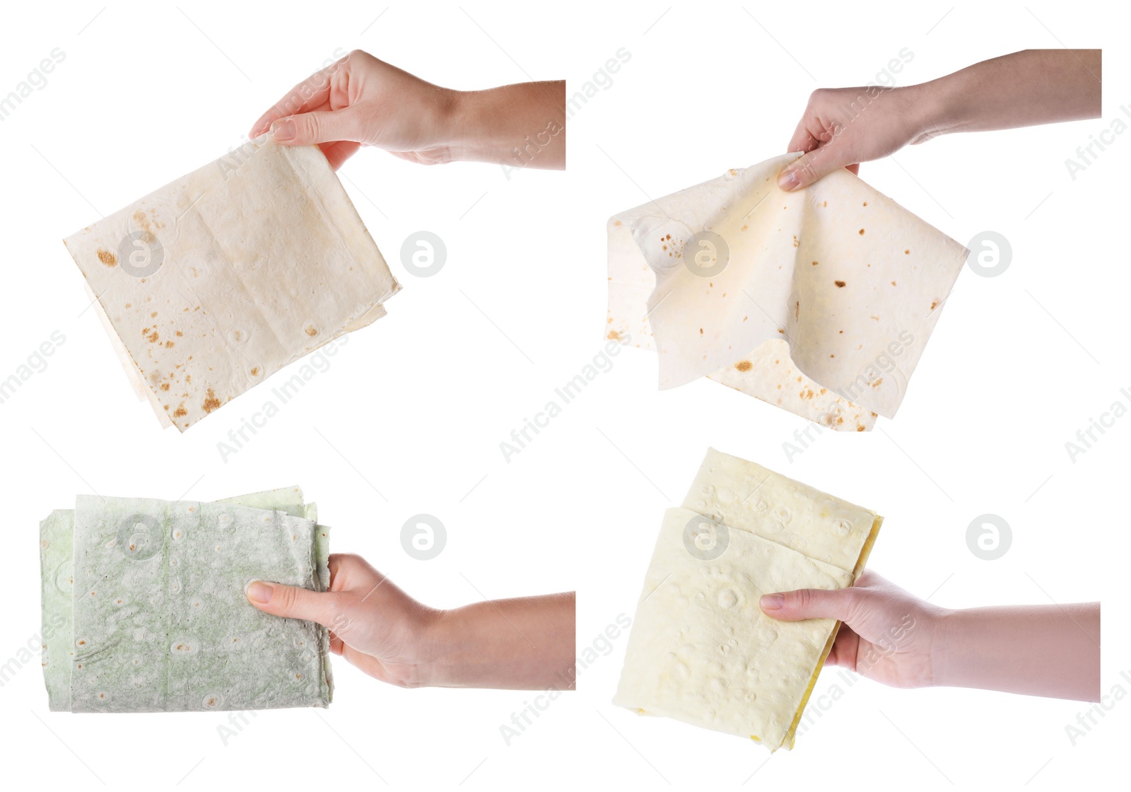 Image of Collage with photos of women holding tasty lavash on white background, closeup