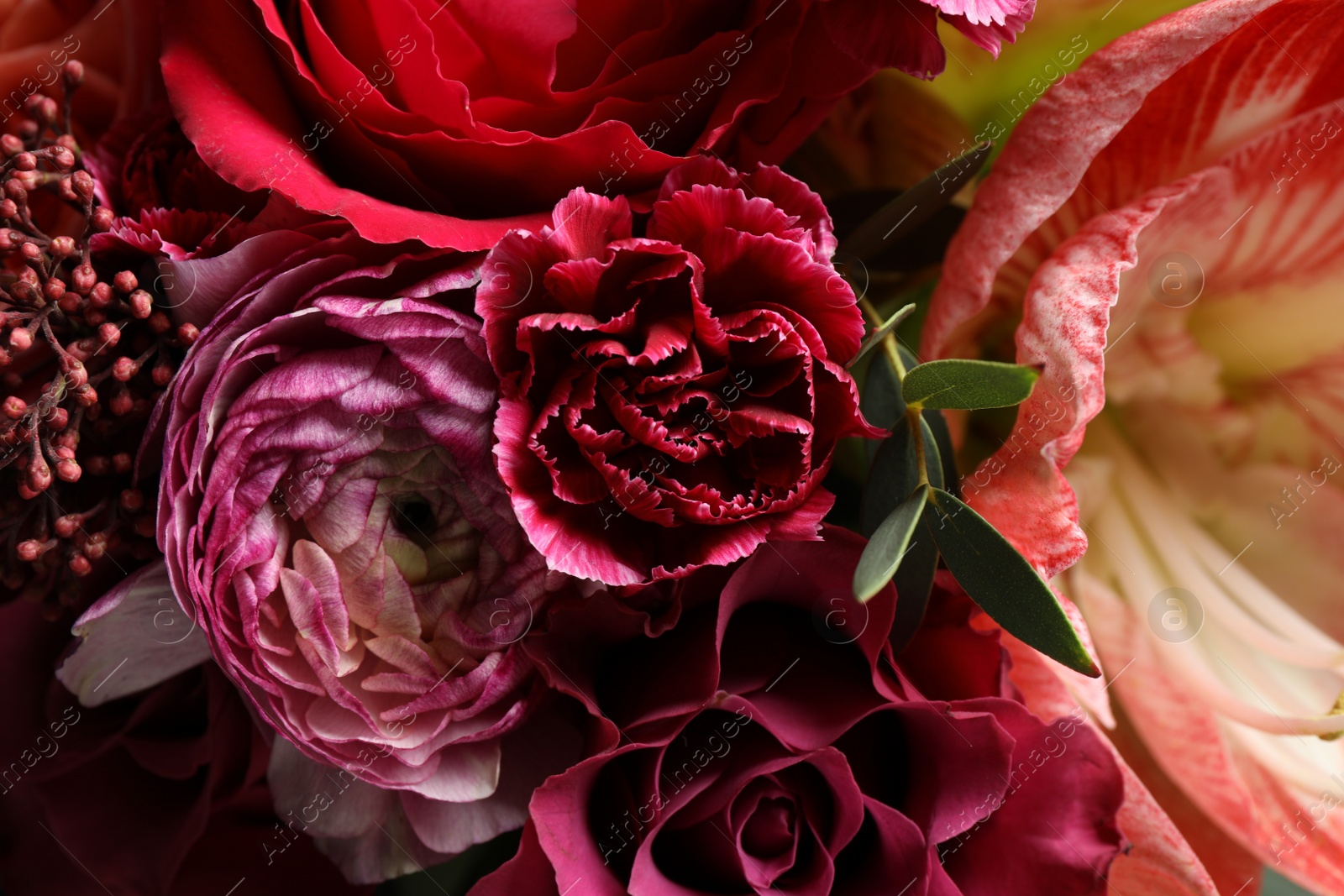 Photo of Beautiful fresh bouquet as background, closeup. Floral decor