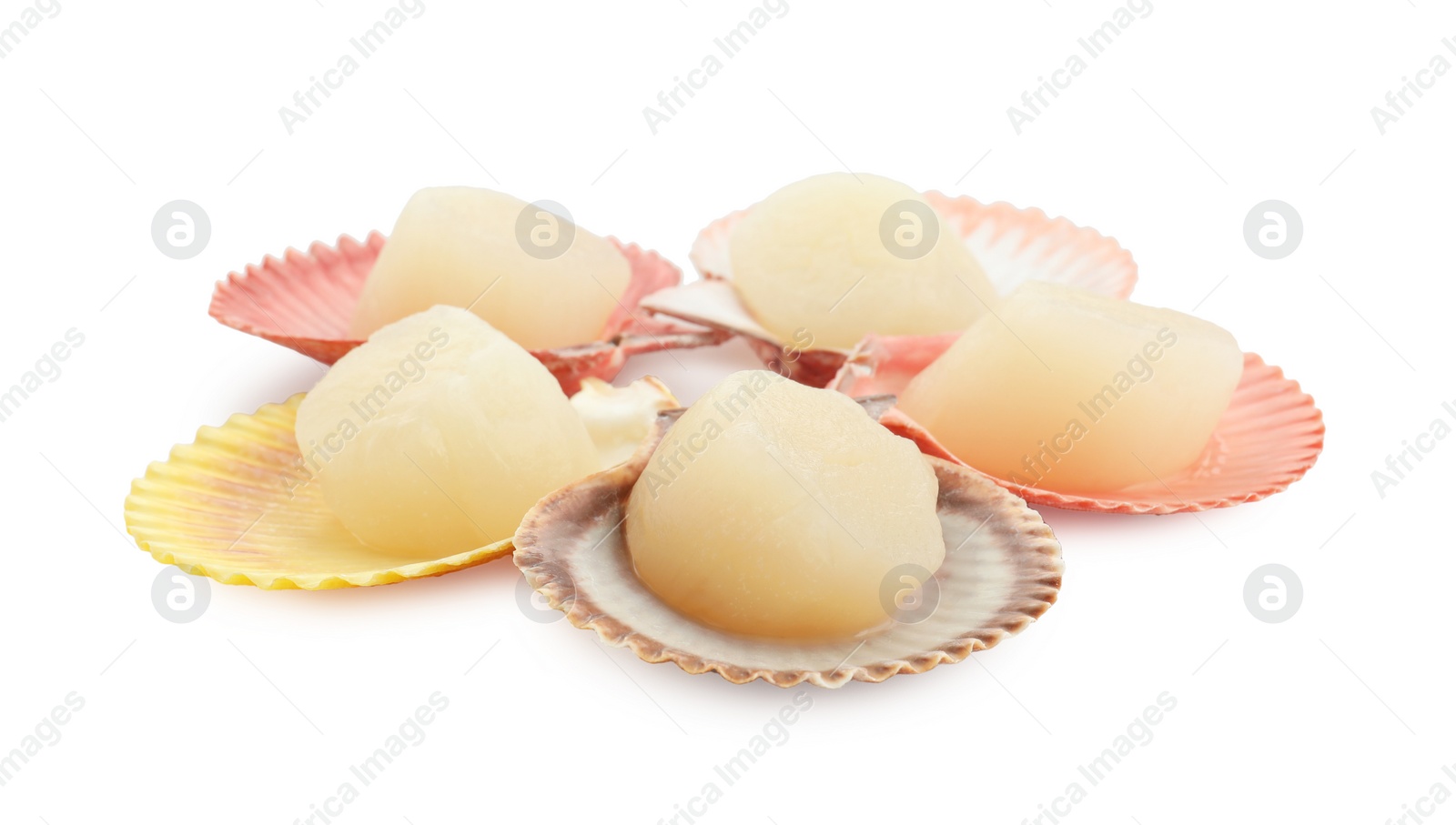 Photo of Many fresh raw scallops in shells isolated on white