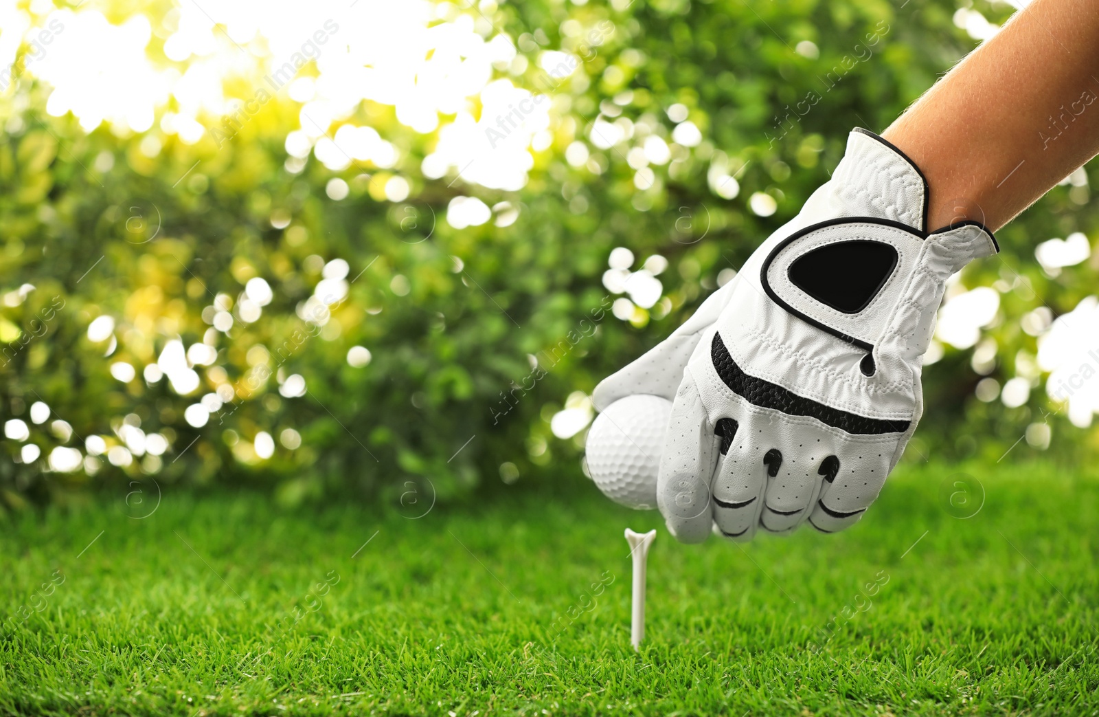 Photo of Player putting golf ball on tee at green course, closeup