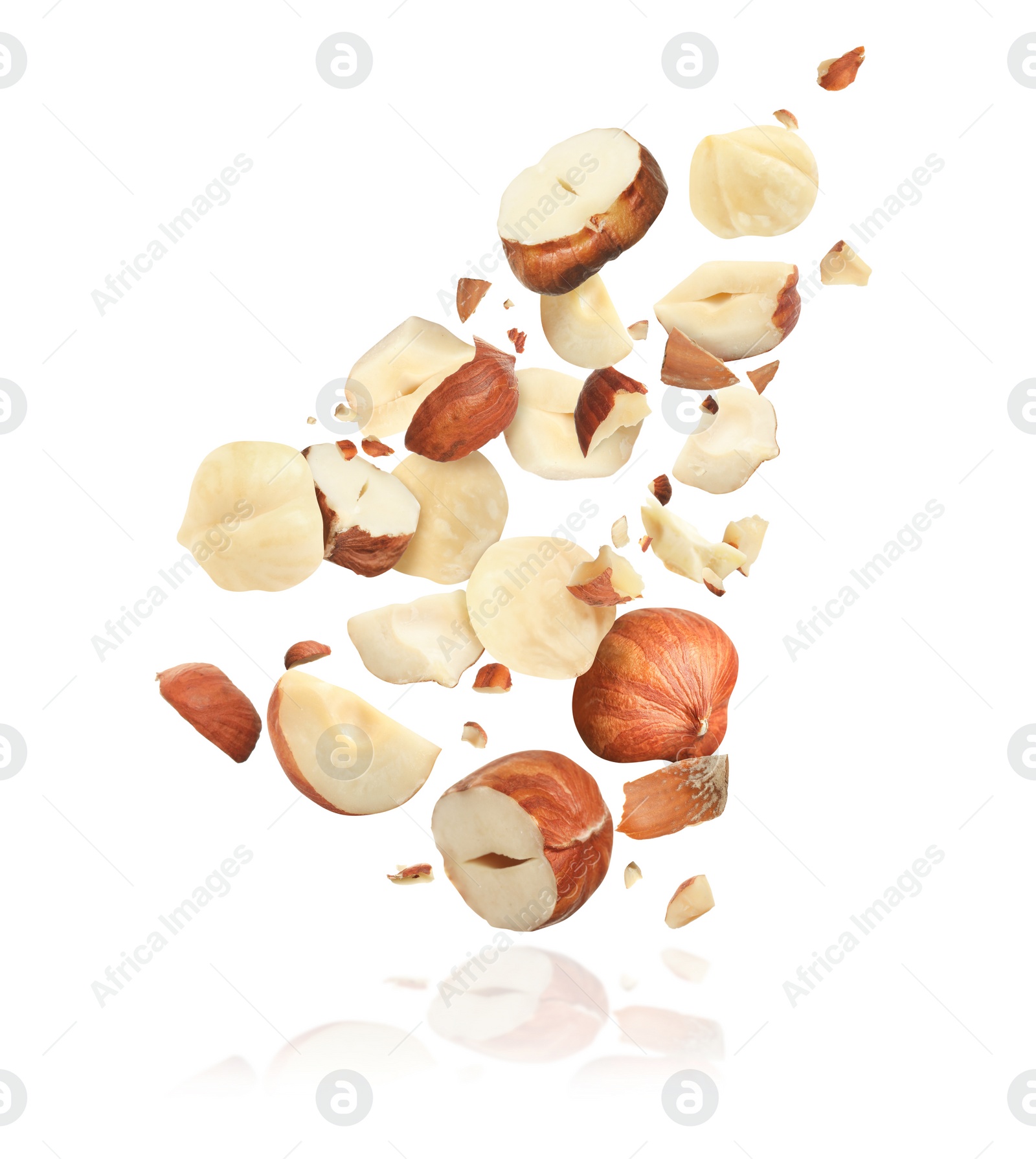 Pieces of tasty hazelnuts falling on white background Image of Pieces of tasty hazelnuts falling on white background