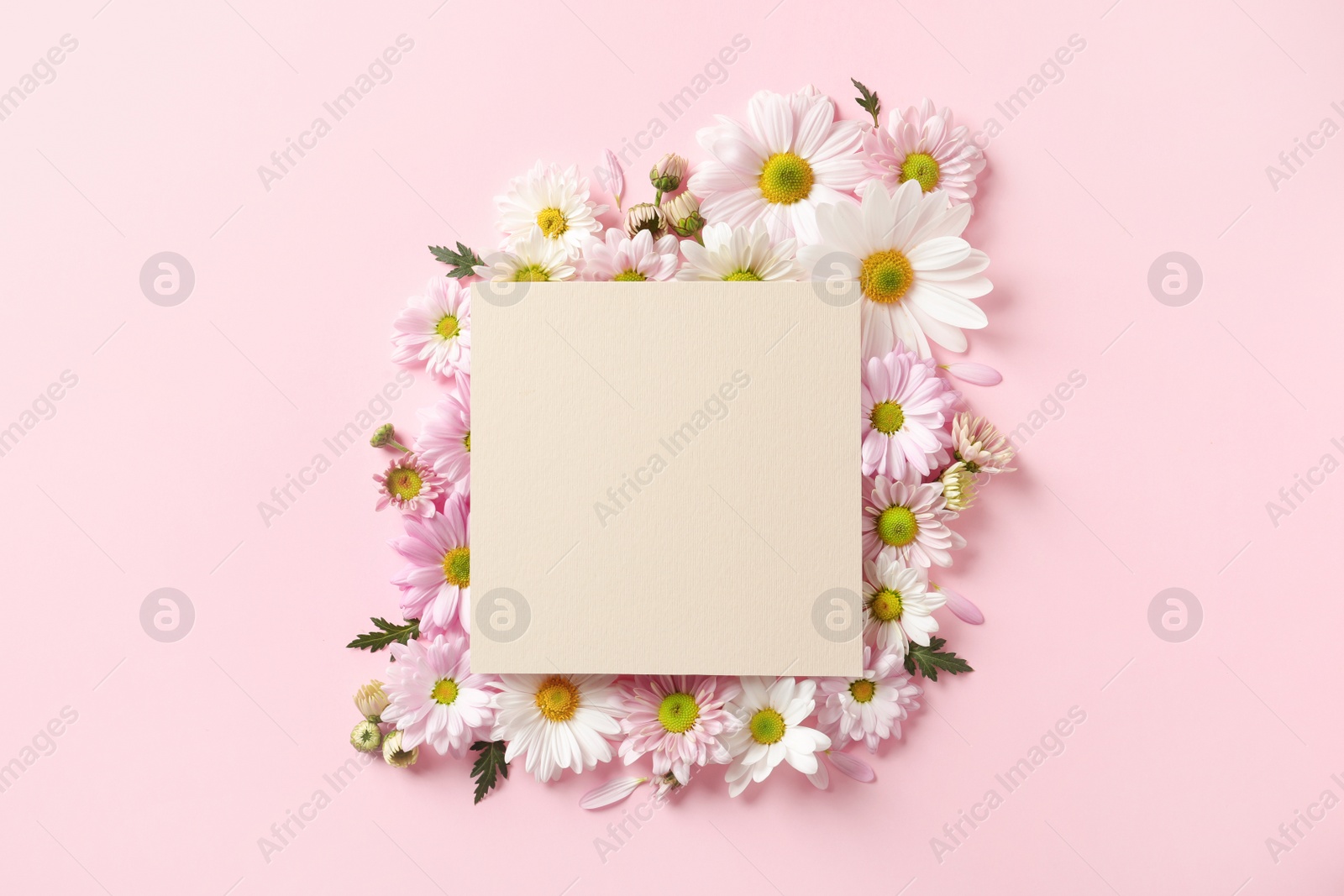 Photo of Beautiful chamomile flowers and paper card on color background, flat lay with space for text