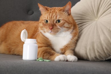 Photo of Cute ginger cat and vitamin pills on couch indoors, selective focus