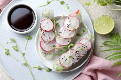 Delicious spring rolls served on light grey table, flat lay