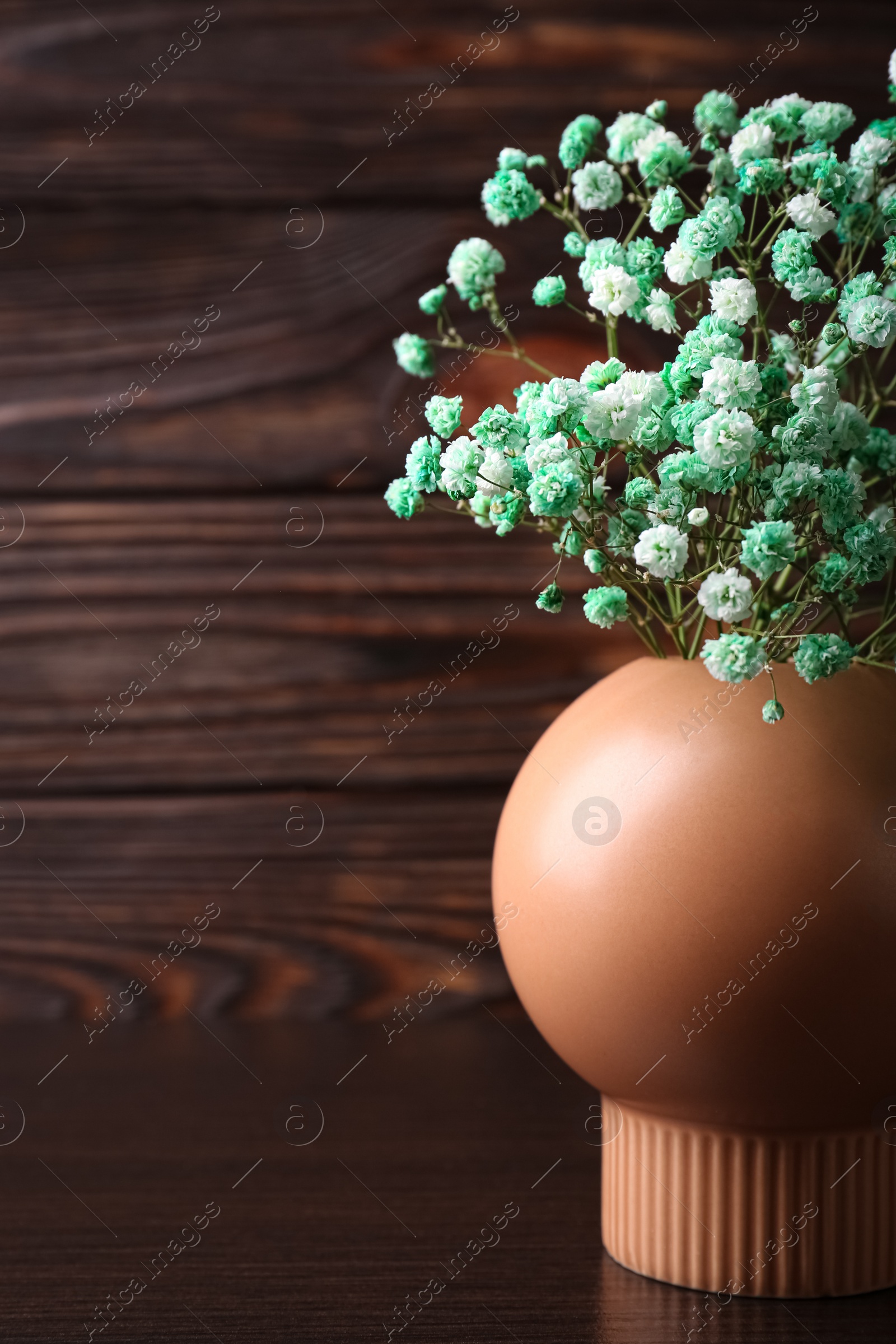 Photo of Beautiful dyed gypsophila flowers in stylish vase on wooden table. Space for text