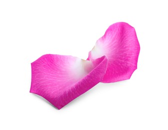 Two pink rose petals on white background