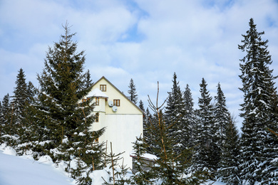 Modern cottage in snowy coniferous forest on winter day