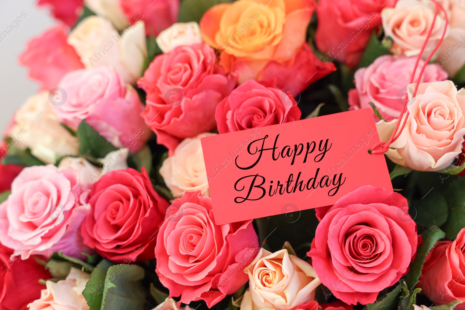 Image of Bouquet of beautiful roses with Happy Birthday card, closeup