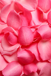 Fresh pink rose petals as background, closeup