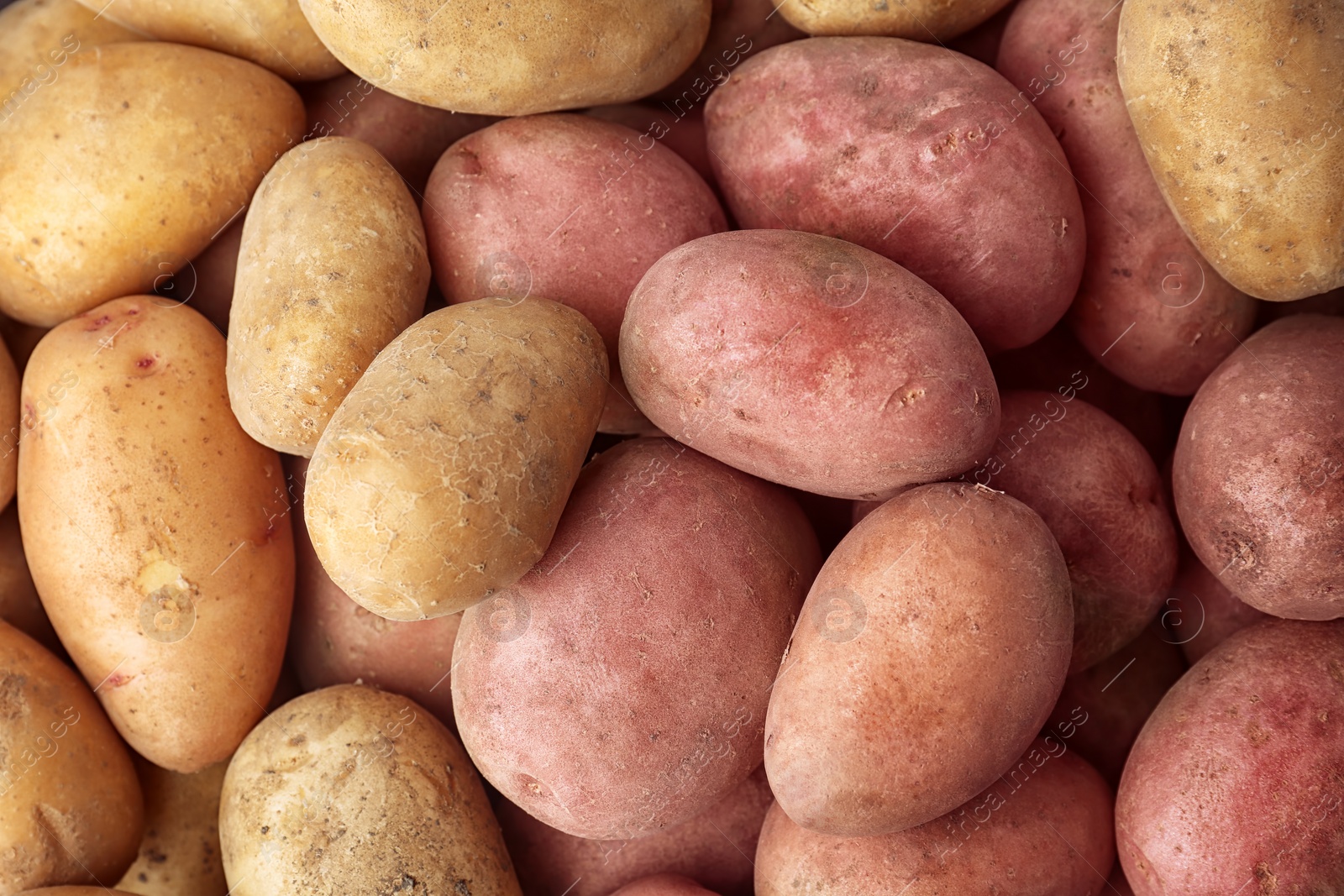 Photo of Fresh ripe organic potatoes as background, top view