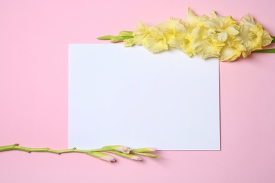 Beautiful gladiolus flowers with blank card on color background, top view