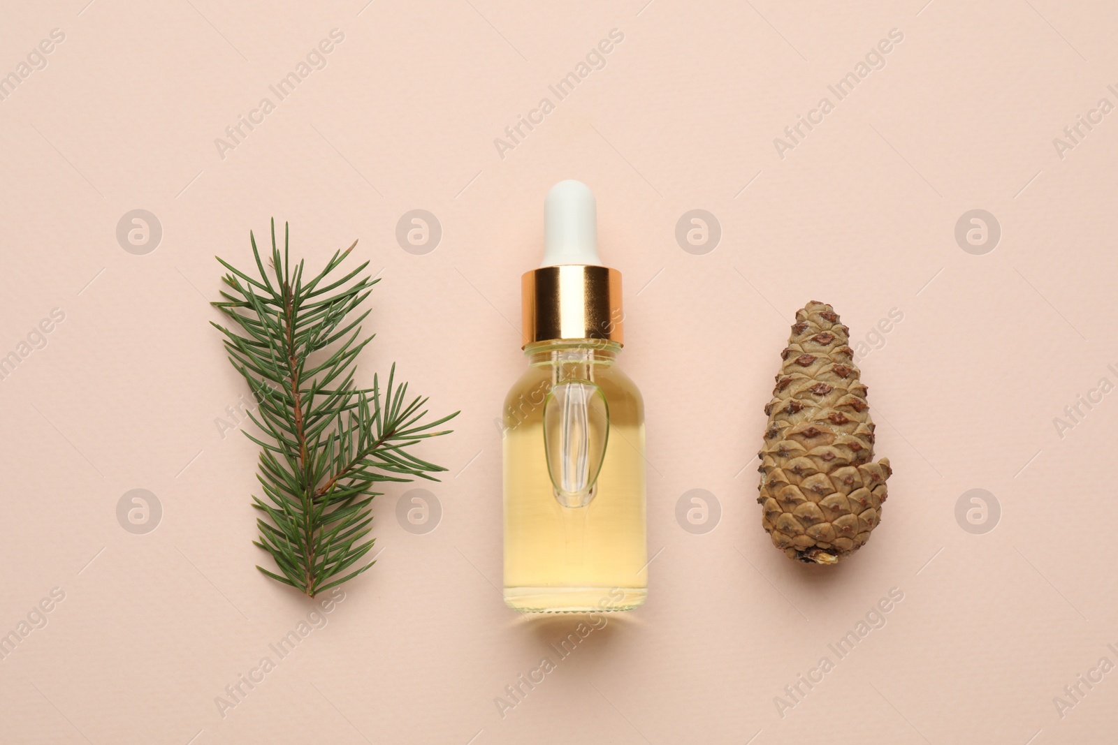 Photo of Glass bottle of essential oil, fir branch and cone on pink background, flat lay